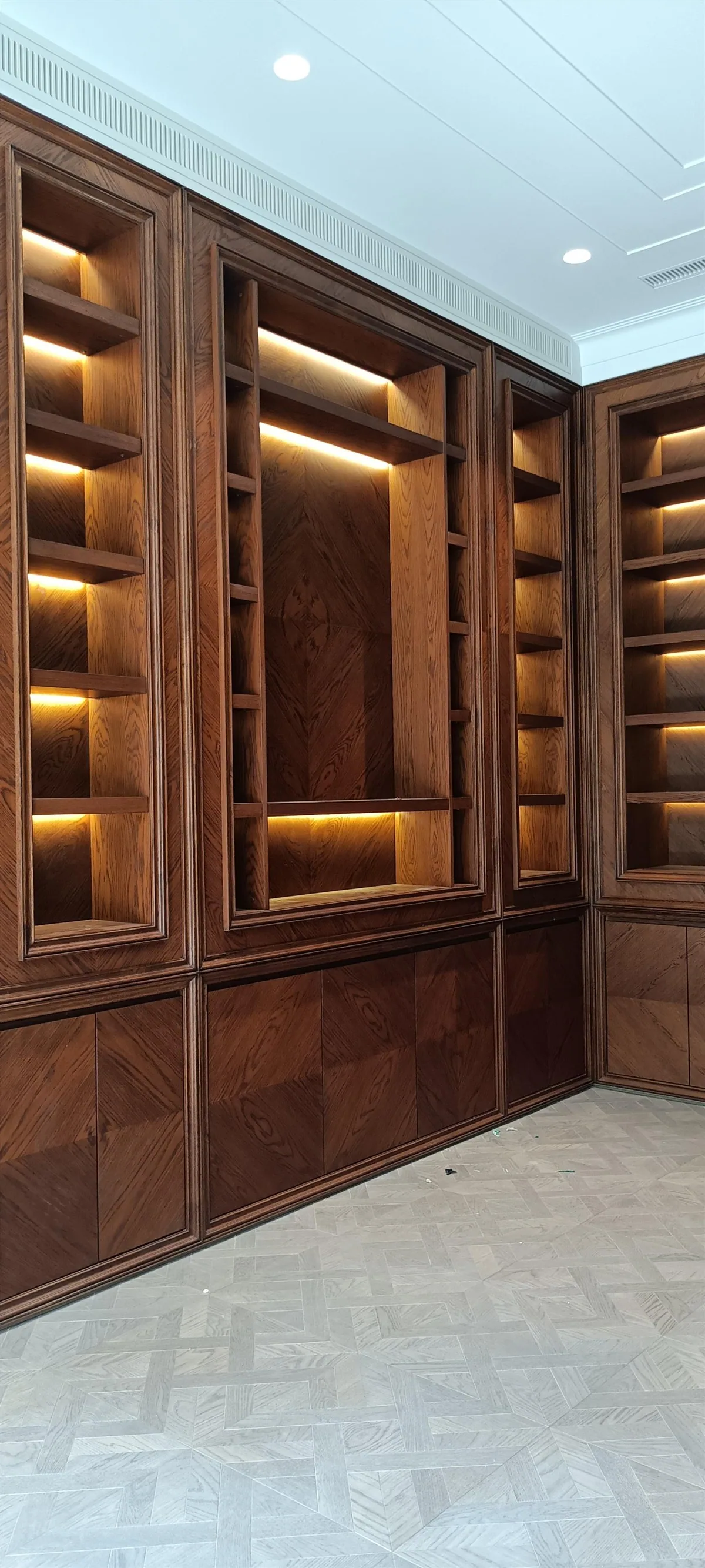 Library wall with lit display shelving — 14 Jorbagh